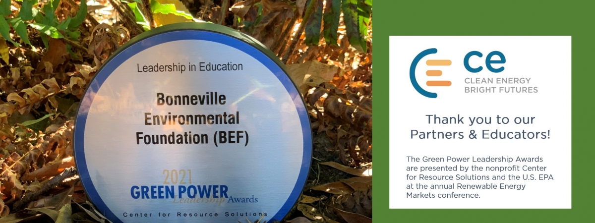 Image of 2021 Green Power Leadership Award for Education