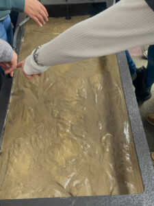 Photo of a water table the sand is very wet and small channels can be seen in random patterns across the surface, most channels run from one end of the table to the other. A person with a white sleeve and silver watch is pointing to the left side of the table.