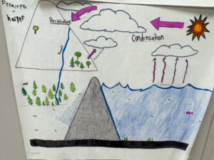 Photo of a white paper with a sideview drawing of a dam. In the upper left corner are the names Penelope and Harper. next to that is a drawing of a hill with a blue line labeled runoff. The hill has one tree on the upper left and a cluster of 5 in the bottom right. The blue line extends to more trees near a river with fish in it. There is a brown animal near the trees. By the tees in the hill is a purple arrow pointed at a cloud with the label Transpiration there are two more clouds above it the upper most is raining and has an arrow going buy it pointed at the hill that is labeled preciptiation. To the right there is a sun with an arrow pointing towards the clouds and the word condensation. Below that is another cloud that is over a deep pool of water with fish. 4 wavy arrows point from the water to the cloud and are labeled evaporation. Holding the big pool of water back from the river by the forest is a grey inverted V. Some water spills out from the front of the grey structure into the river.