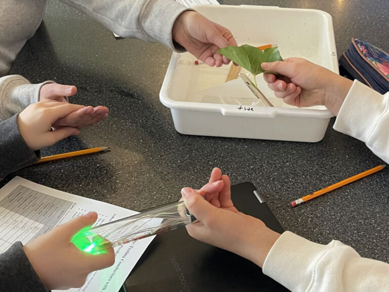 Student hands held in a circle over a black lab table with papers and bins on it. At the top of the photo two hands have a green leaf between them. At the bottom of the image to hands hold an energy stick between that is emitting a green glow.