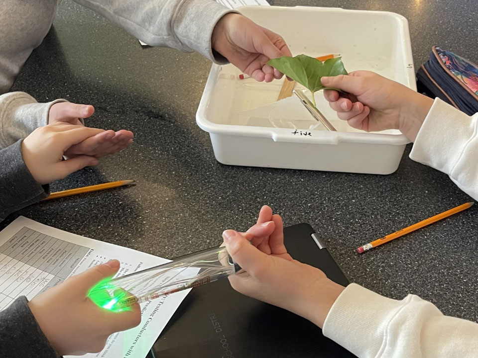 Student hands held in a circle over a black lab table with papers and bins on it. At the top of the photo two hands have a green leaf between them. At the bottom of the image to hands hold an energy stick between that is emitting a green glow.