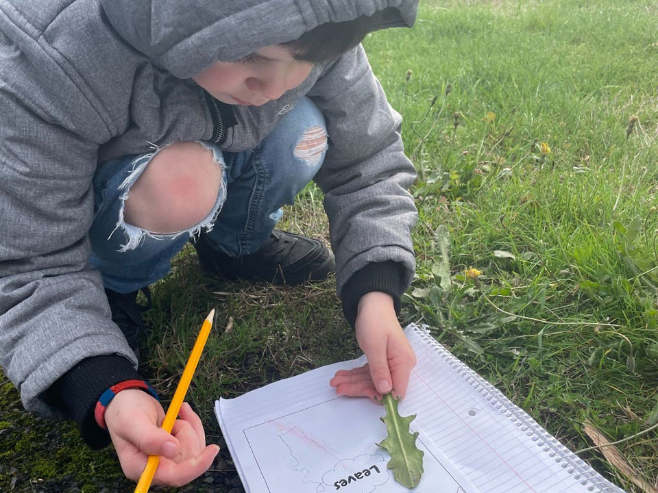 EMBER Participatory Science